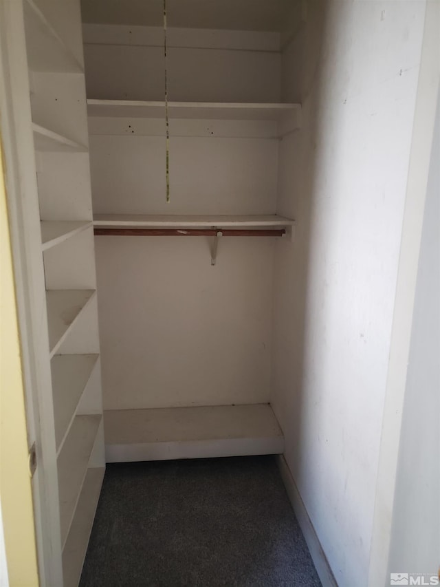 view of closet