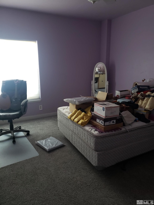interior space featuring carpet