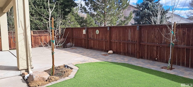 view of yard with a patio area and a fenced backyard