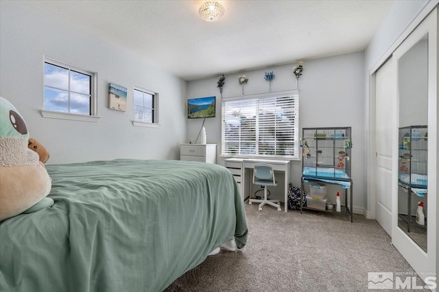 carpeted bedroom featuring multiple windows