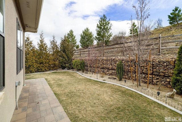 view of yard featuring a fenced backyard and a patio