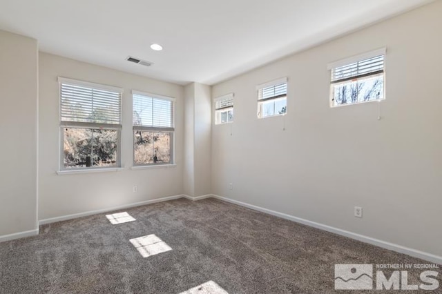 spare room featuring carpet flooring, a wealth of natural light, and baseboards