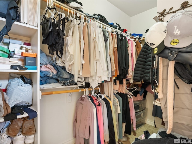 view of walk in closet