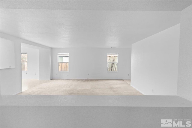 spare room featuring plenty of natural light, carpet, and a textured ceiling