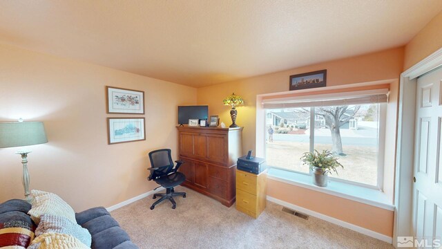 office space with visible vents, light carpet, and baseboards