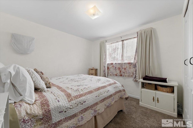 bedroom with carpet floors