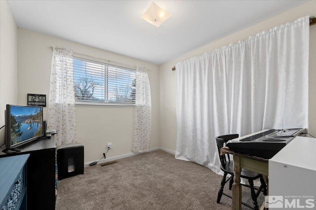 office with baseboards, visible vents, and carpet flooring