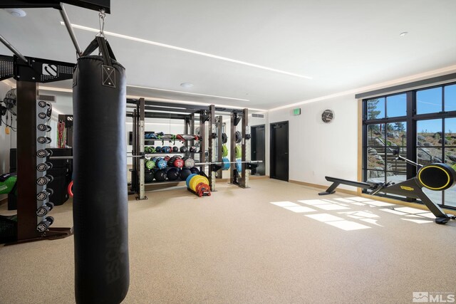 exercise room with carpet, visible vents, and baseboards