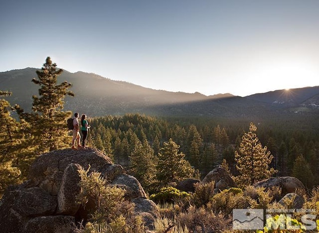 view of mountain feature featuring a wooded view