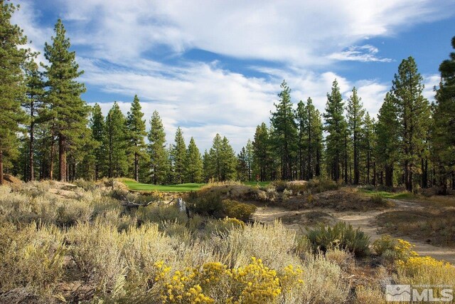 view of landscape with a wooded view