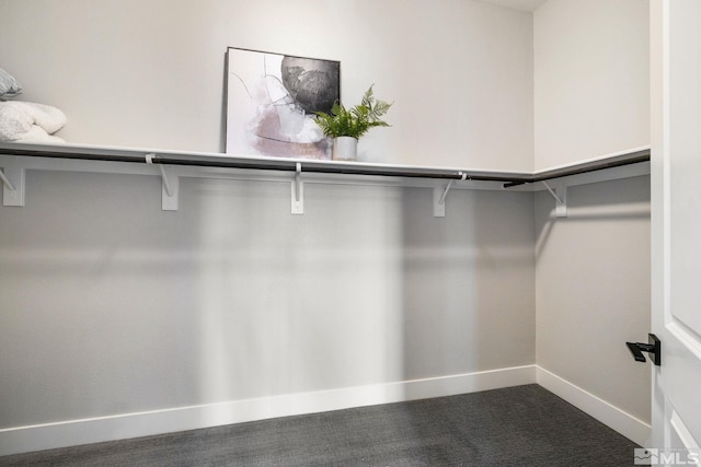 spacious closet featuring dark colored carpet