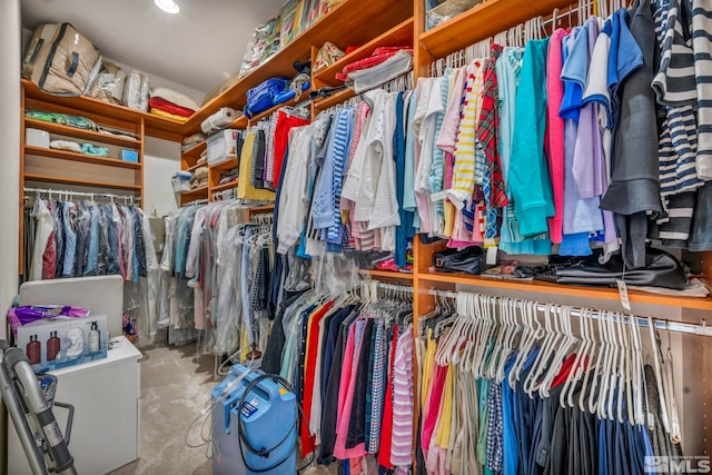 view of walk in closet