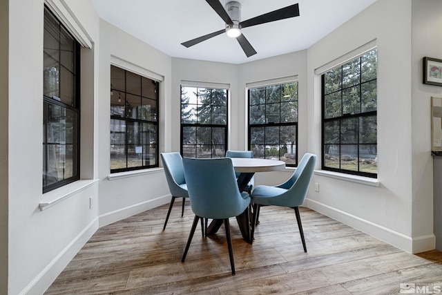 interior space featuring ceiling fan and plenty of natural light