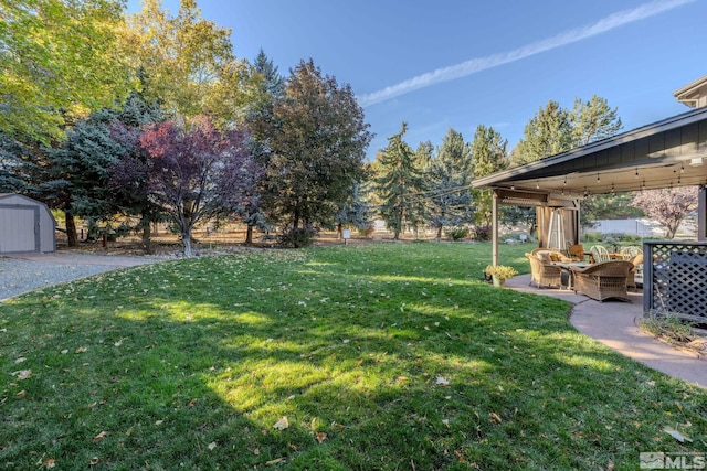 view of yard featuring a storage shed, a patio, and an outdoor structure