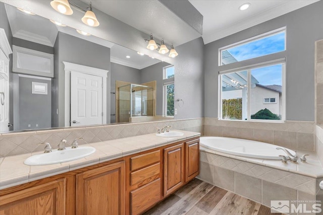 full bathroom featuring double vanity, ornamental molding, a garden tub, a shower stall, and a sink