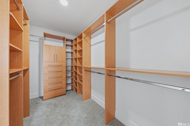 spacious closet featuring light colored carpet