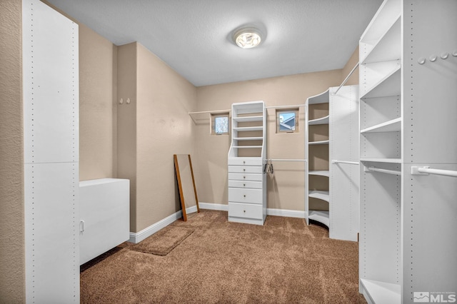 walk in closet featuring carpet