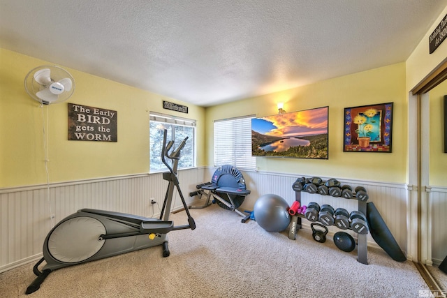 workout area with a wainscoted wall, a textured ceiling, and carpet flooring