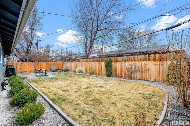 view of yard with a patio area and a fenced backyard