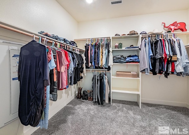 spacious closet featuring carpet floors and visible vents