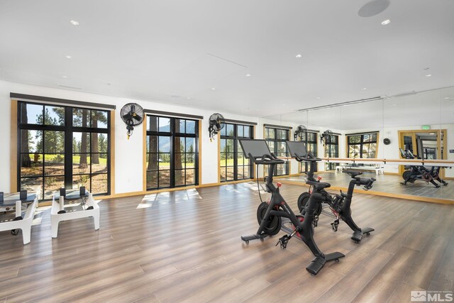 gym with french doors, wood finished floors, and baseboards