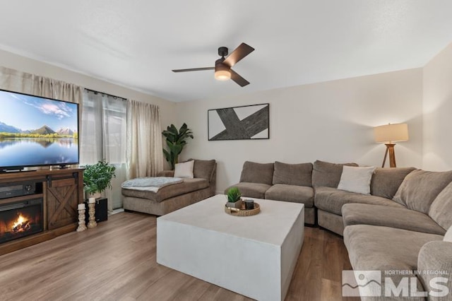 living area with a lit fireplace, a ceiling fan, and wood finished floors