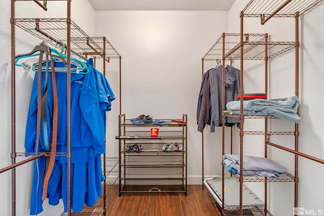 walk in closet featuring wood finished floors