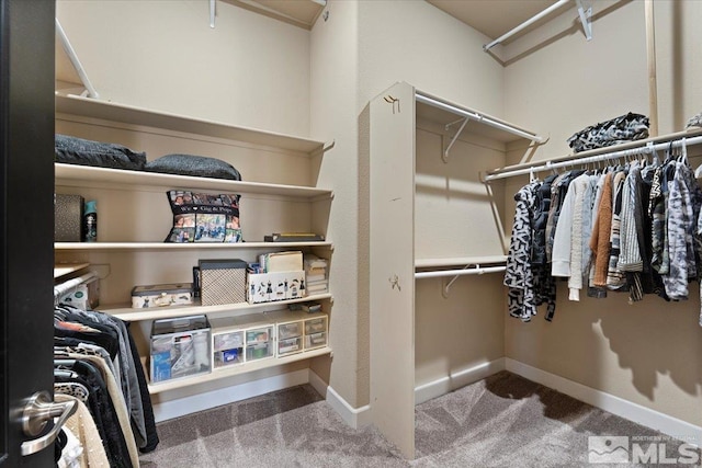 walk in closet with carpet