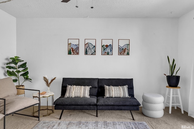 interior space with a ceiling fan, carpet, and a textured ceiling