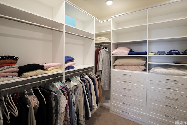 walk in closet with carpet flooring