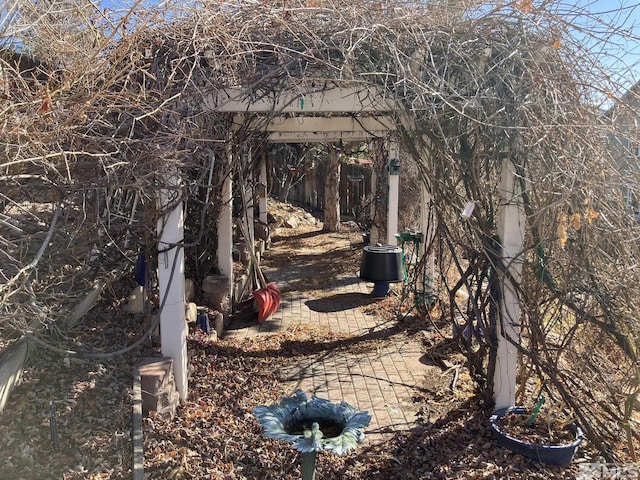 view of yard with a patio area