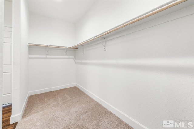 spacious closet with carpet flooring