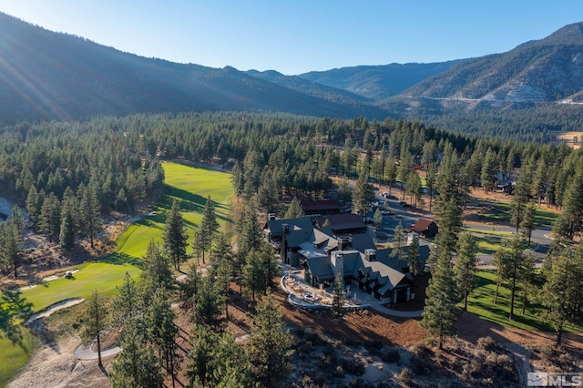 birds eye view of property with a mountain view and a view of trees