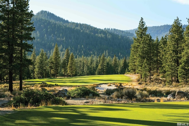 surrounding community with view of golf course, a lawn, and a view of trees