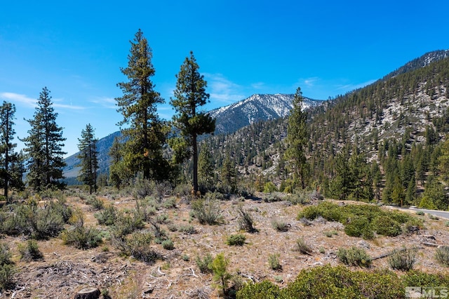 view of mountain feature with a forest view