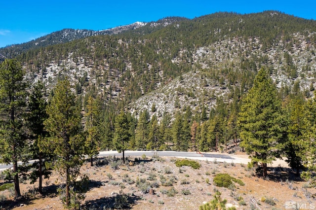 property view of mountains featuring a forest view