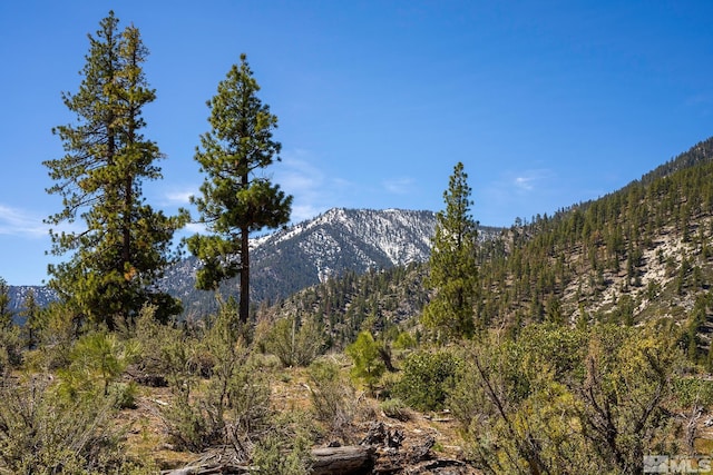 view of mountain feature with a forest view