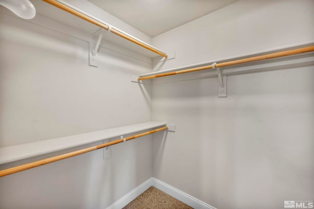 walk in closet with carpet