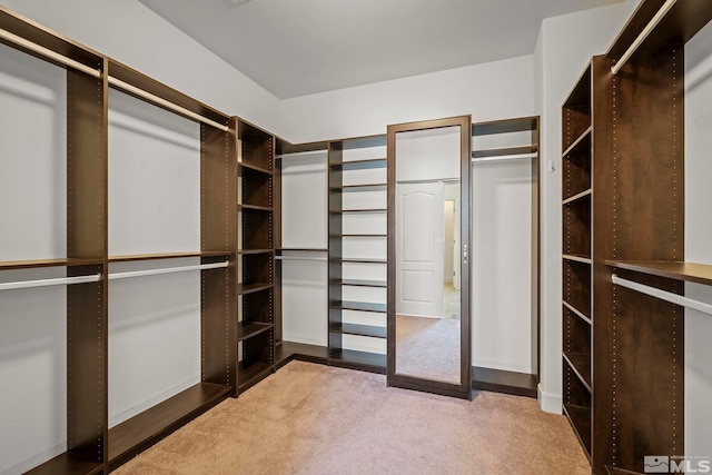 spacious closet with carpet flooring