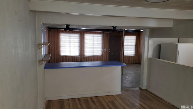 kitchen featuring ceiling fan, wood finished floors, and freestanding refrigerator
