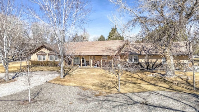 ranch-style house with stucco siding