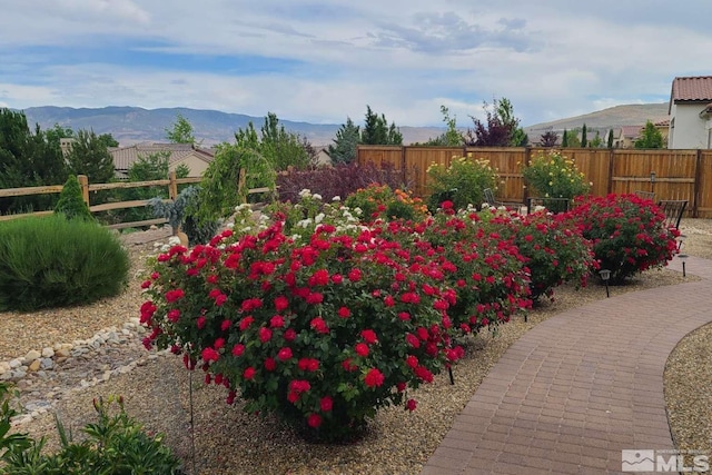 view of yard with fence and a mountain view