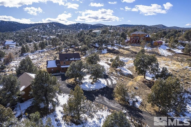 birds eye view of property featuring a mountain view