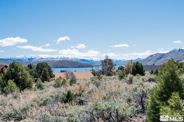 3466 Mark Twain Ave, Topaz NV, 89410 land for sale