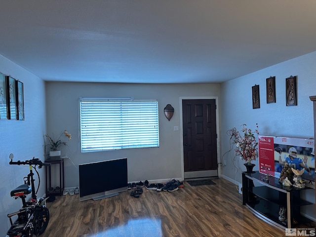 entrance foyer with baseboards and wood finished floors