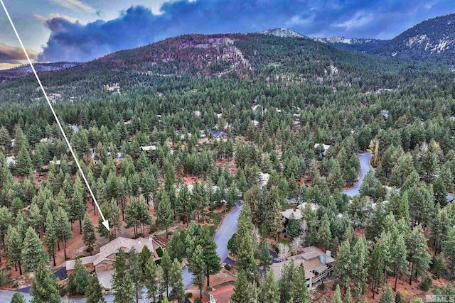 bird's eye view featuring a mountain view and a forest view