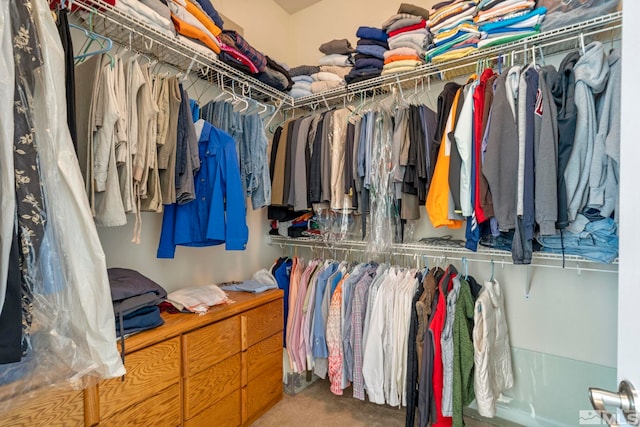 walk in closet with carpet