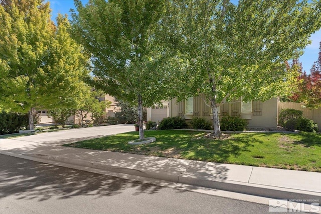 view of property hidden behind natural elements featuring a garage, concrete driveway, a front yard, and stucco siding