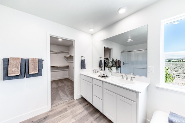 bathroom with double vanity, a stall shower, a walk in closet, and a sink