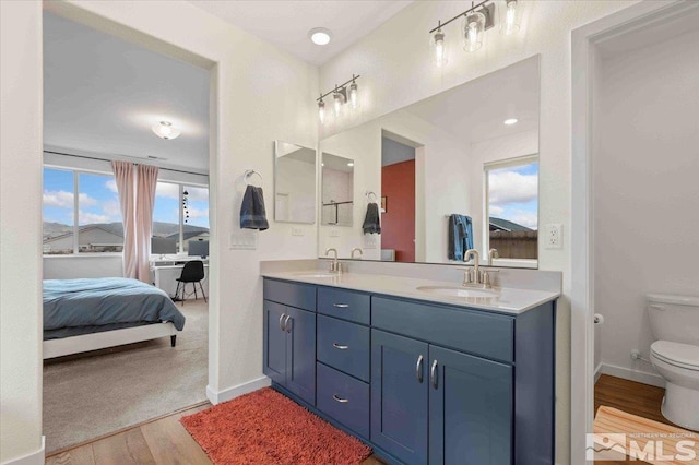 bathroom featuring double vanity, wood finished floors, toilet, and a sink